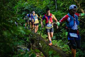 BIB: 9658
                            <button type="button" onclick="openModal(18922549)" class="btn btn-primary btn-sm float-right btn-popup" data-toggle="modal" data-target=".modal-high-quality">
                        <i class="fas fa-shopping-cart"></i> Add to Cart
                    </button>
                                            <button type="button" onclick="isThisMe(18922549, true)" class="btn btn-success btn-sm float-right btn-popup btn-isme hidden" data-toggle="tooltip" data-placement="bottom" title="นี่คือรูปของคุณใช่ไหม คลิกที่นี่เพื่อเอาเข้าอัลบั้ม">
                        <i class="fas fa-plus"></i> Add to album
                    </button>
                    <button type="button" onclick="isThisMe(18922549, false)" class="btn btn-warning btn-sm float-right btn-popup btn-isnotme hidden">
                        <i class="fas fa-ban"></i> Remove from album
                    </button>